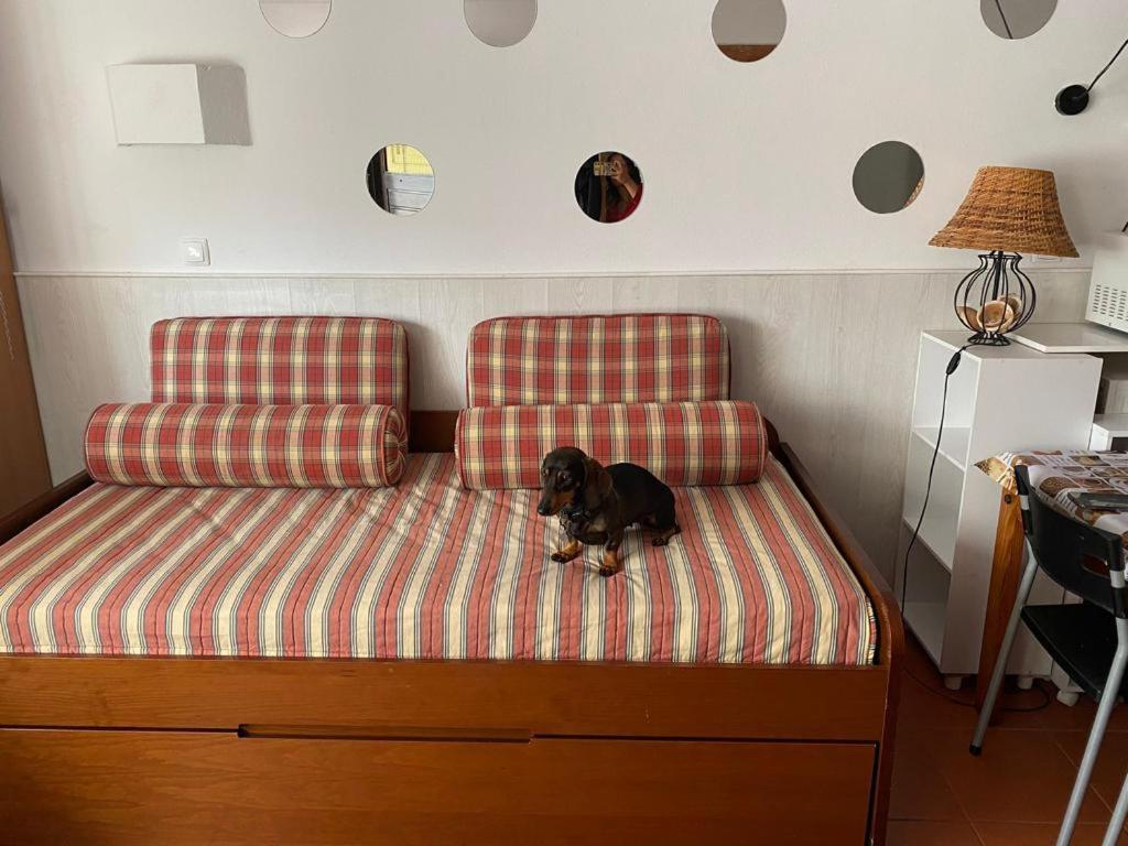 T1 Condominio Privado Em Montechoro Apartment Albufeira