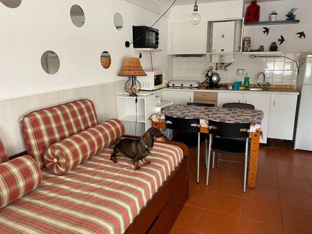 T1 Condominio Privado Em Montechoro Apartamento Albufeira